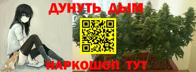 гашик Апрелевка