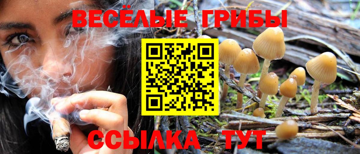 Галлюциногенные грибы прущие грибы  Псилоцибиновые грибы MAGIC MUSHROOMS  Пыть-Ях 